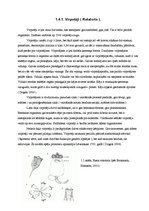Term Papers 'Briģenes ezera sezonālā zooplanktona dinamika', 27.