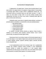 Term Papers 'Uzņēmējdarbības reģionālā attīstība Latvijā', 57.