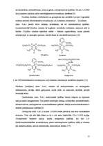 Research Papers '1,4 - dihidropiridīni medicīnai', 12.