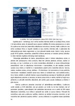 Term Papers 'Klientu piesaistīšana uzņēmumā “Ski Cool St. Moritz”, Šveice”', 54.