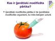 Presentations 'Ģenētiski modificēti organismi, pārtika un to nozīme', 3.