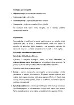 Summaries, Notes 'Vīriešu reproduktīvās sistēmas anatomija: struktūra, funkcijas un dzimumu īpatnī', 12.