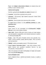 Summaries, Notes 'Vīriešu reproduktīvās sistēmas anatomija: struktūra, funkcijas un dzimumu īpatnī', 13.