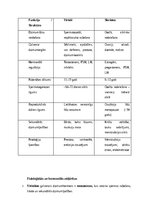 Summaries, Notes 'Vīriešu reproduktīvās sistēmas anatomija: struktūra, funkcijas un dzimumu īpatnī', 24.