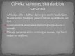 Presentations 'Savanna un tundra', 5.