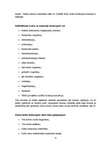 Research Papers 'Fizioterapeita profesionālā darbība', 15.