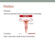 Presentations 'Dzemdes ķermeņa jeb endometrija vēzis', 8.