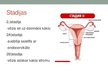 Presentations 'Dzemdes ķermeņa jeb endometrija vēzis', 9.