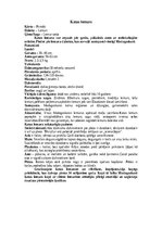 Summaries, Notes 'Lemuri', 4.