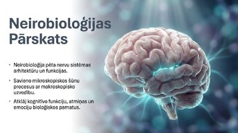 Presentations 'Neirobioloģijas pārskats', 1.