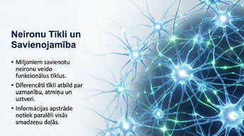 Presentations 'Neirobioloģijas pārskats', 9.