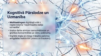 Presentations 'Neirobioloģijas pārskats', 13.