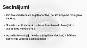 Presentations 'Neirobioloģijas pārskats', 14.