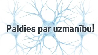 Presentations 'Neirobioloģijas pārskats', 17.
