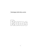 Research Papers 'Rums un tā vēsture', 1.