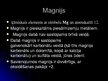 Presentations 'Magnijs', 2.