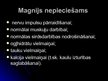 Presentations 'Magnijs', 6.