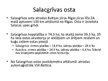 Presentations 'Latvijas mazās ostas', 24.