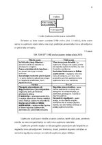 Practice Reports 'Prakses atskaite', 6.