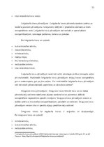 Practice Reports 'Prakses atskaite', 12.