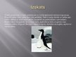 Presentations 'Pingvīnu kārta', 4.