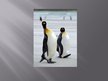 Presentations 'Pingvīnu kārta', 7.