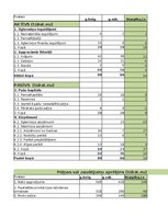 Samples 'Finanšu analīze un riski', 9.