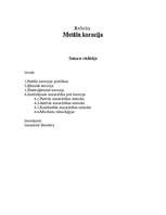 Research Papers 'Korozija', 1.