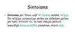 Presentations 'Sintoisms', 2.