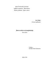 Research Papers 'Datoru uzbūve un komplektācija', 1.