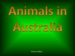 Presentations 'Animals in Australia', 1.