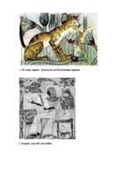Essays 'Kaķu attēlojums un nozīme Senajā Ēģiptē', 13.