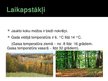 Presentations 'Jaukto koku meži', 3.