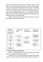 Term Papers 'Uzņēmuma darbinieku motivācijas sistēmas analīze un uzlabošana', 29.