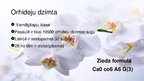 Presentations 'Viendīgļlapju klase - orhideju un liliju dzimta', 10.