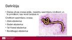 Presentations 'Ebolas vīrusslimība jeb Ebolas hemorāģiskais drudzis', 2.