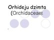 Presentations 'Orhideju dzimta', 1.