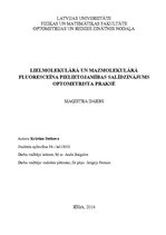 Term Papers 'Lielmolekulārā un mazmolekulārā fluoresceīna pielietojamības salīdzinājums optom', 1.