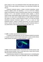 Term Papers 'Lielmolekulārā un mazmolekulārā fluoresceīna pielietojamības salīdzinājums optom', 12.