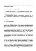 Term Papers 'Lielmolekulārā un mazmolekulārā fluoresceīna pielietojamības salīdzinājums optom', 15.
