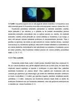 Term Papers 'Lielmolekulārā un mazmolekulārā fluoresceīna pielietojamības salīdzinājums optom', 21.