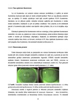 Term Papers 'Lielmolekulārā un mazmolekulārā fluoresceīna pielietojamības salīdzinājums optom', 23.