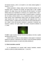 Term Papers 'Lielmolekulārā un mazmolekulārā fluoresceīna pielietojamības salīdzinājums optom', 30.