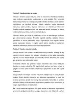 Essays 'Vēstule kā lietišķās saziņas instruments un tās nozīme mūsdienu komunikācijā', 1.