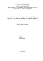 Term Papers 'Smilšu terapijas nozīme internā aprūpē', 1.