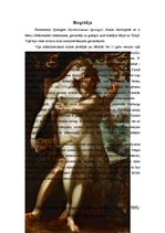 Research Papers 'Bartolomejs Sprangers "Ādams un Ieva". Mākslas darba analīze', 5.