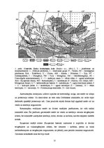 Research Papers 'Altajs - Sajāni', 10.