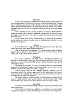 Summaries, Notes 'Kuskusi', 5.