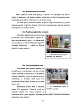 Research Papers 'Ogļhidrātu ietekme uz alus fermentācijas gala produktu sastāvu', 12.