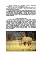 Research Papers 'Āfrikas augi un dzīvnieki, Krīgera rezervāts', 3.
